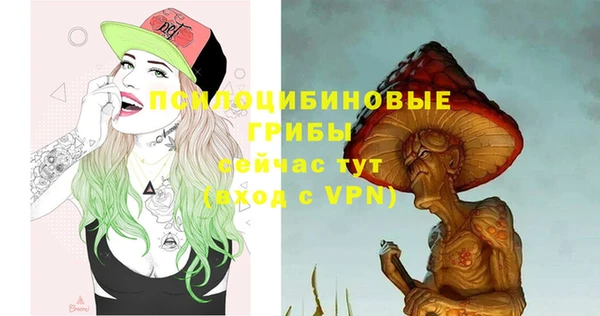 соль курить ск Вяземский