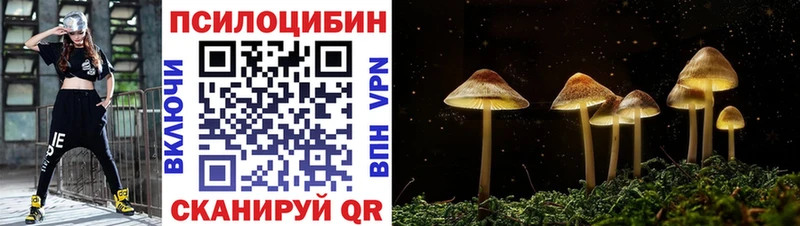 Псилоцибиновые грибы GOLDEN TEACHER  наркошоп  Зубцов 